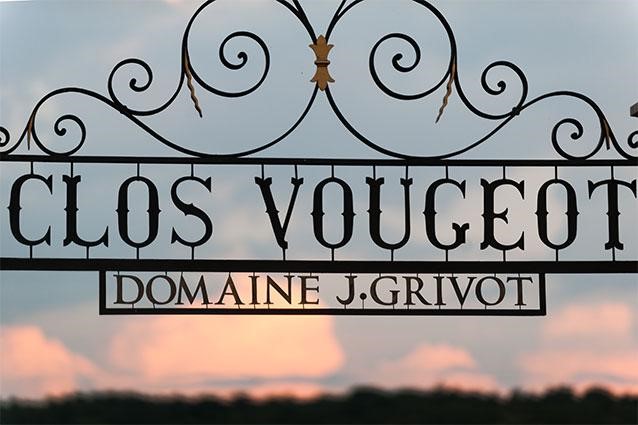 Enchanting Burgundy wines with Mathilde Grivot